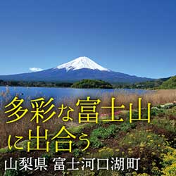 4つの湖を有する町で多彩な富士山に出合う