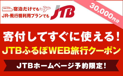 【熊本県内の旅行に使える】JTBふるぽWEB旅行クーポン（30000円分）