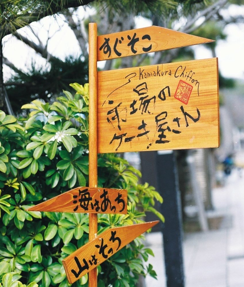 写真