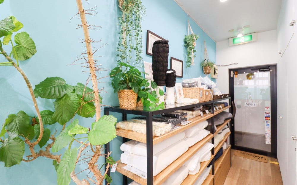 たくさんのグリーンがディスプレイされ、癒しモード全開の店内入口