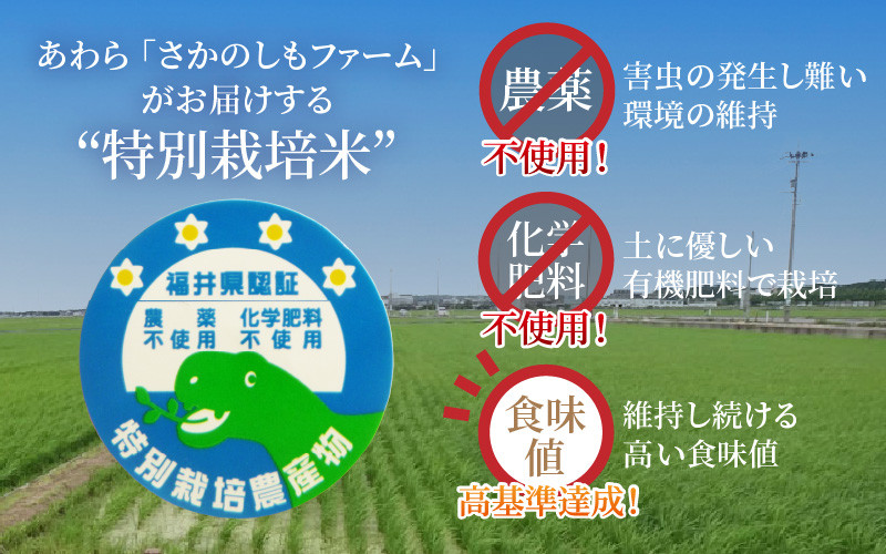 令和5年産 ミルキークイーン 精米 5kg 特別栽培米 農薬不使用 化学肥料