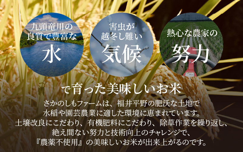 令和5年産 ミルキークイーン 精米 5kg 特別栽培米 農薬不使用 化学肥料