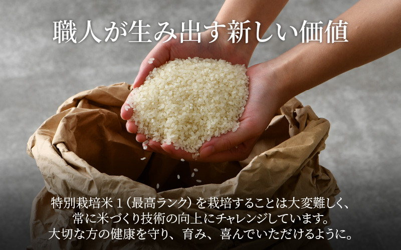 令和5年産 ミルキークイーン 精米 5kg 特別栽培米 農薬不使用 化学肥料