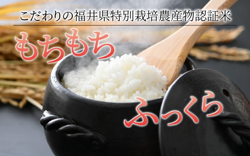 先行予約】【令和7年産 新米】 ミルキークイーン 精米 5kg 特別栽培米 農薬不使用 化学肥料不使用 ／ 高品質 鮮度抜群 福井県産 ブランド米  ※2025年10月上旬以降順次発送 | JTBのふるさと納税サイト [ふるぽ]