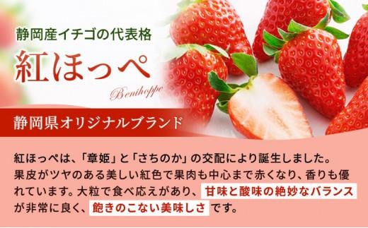 いちご ほっぺたが落ちる 紅ほっぺ 4パック 果物 イチゴ 苺