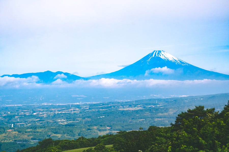 撮影地：滝知山園地