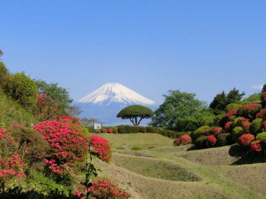 山中城址公園