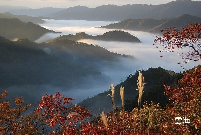 雲海