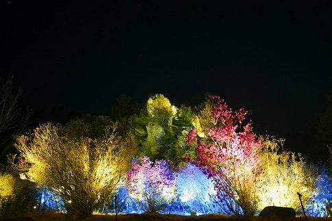 1.雲岩公園 つつじライトアップ