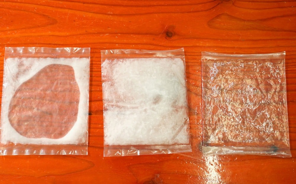 実験結果（左）マイナス75度の冷凍庫、（中）凍眠、（右）一般の冷凍庫