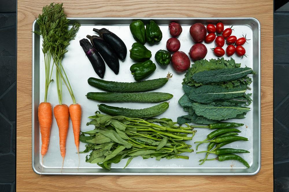 食材（イメージ）