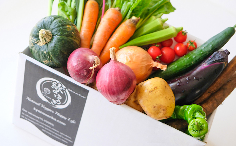 ※写真はイメージです。季節により種類が異なりますのでご了承ください。