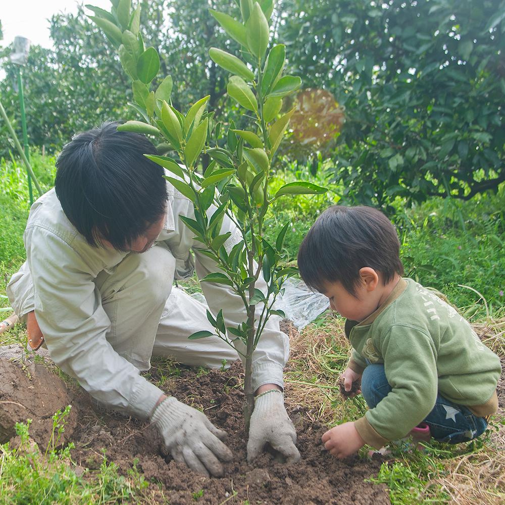 大人になったら、一緒に収穫できるかな？