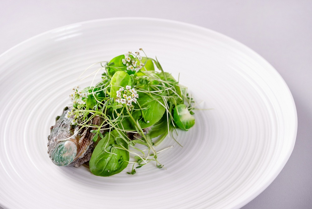 料理（イメージ）