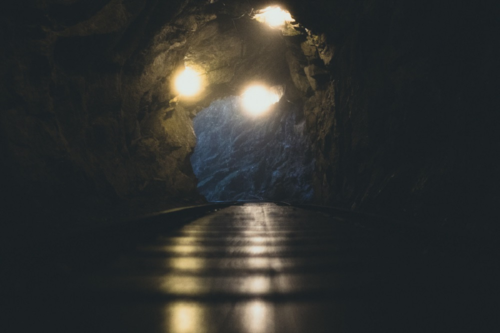 撮影地：縄文杉トレッキングコース