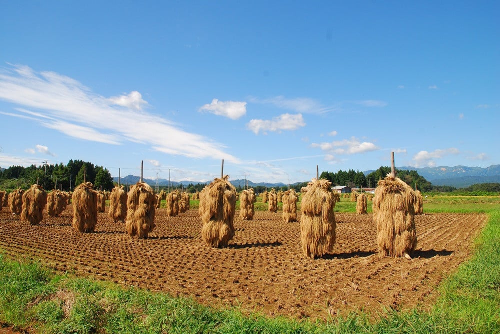 3. 棒掛け風景