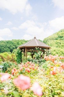 ◆花フェスタ記念公園
