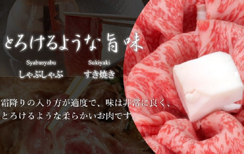 ふるさと納税　価格比較　モモ・カタ肉スライス　神戸町　飛騨牛A5等級　約1kg(500g×2)