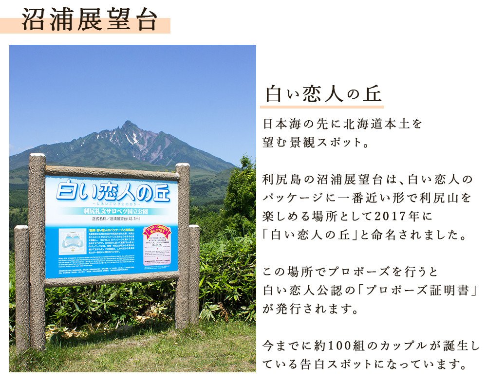 白い恋人に描かれた利尻山】白い恋人（ホワイト＆ブラック）54枚入 | JTBのふるさと納税サイト [ふるぽ]