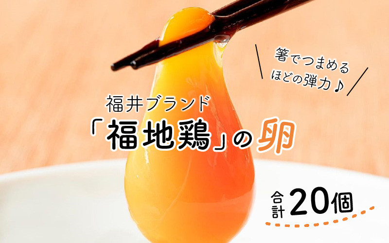 濃厚で甘くておいしい！ 福井ブランド「福地鶏」の卵 20個（10個入×2