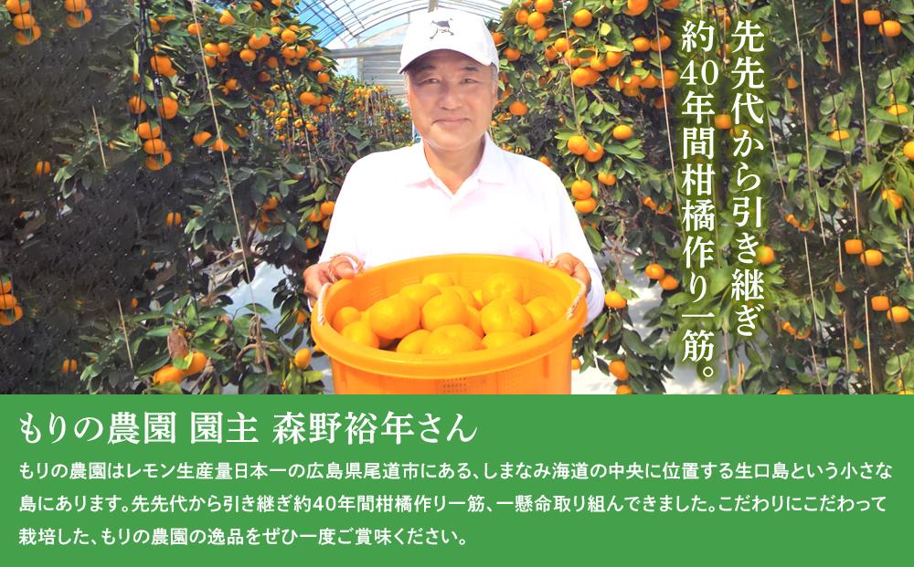 高級柑橘 贈答用ハウスせとか化粧箱８玉～12玉 完熟 フルーツ 産地直送