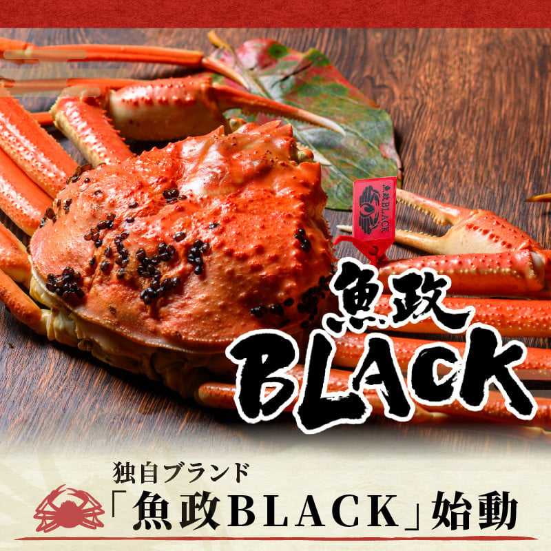 蟹の匠 魚政】茹で松葉ガニ 魚政BLACK 特選 900g級 2匹セット(11月～12