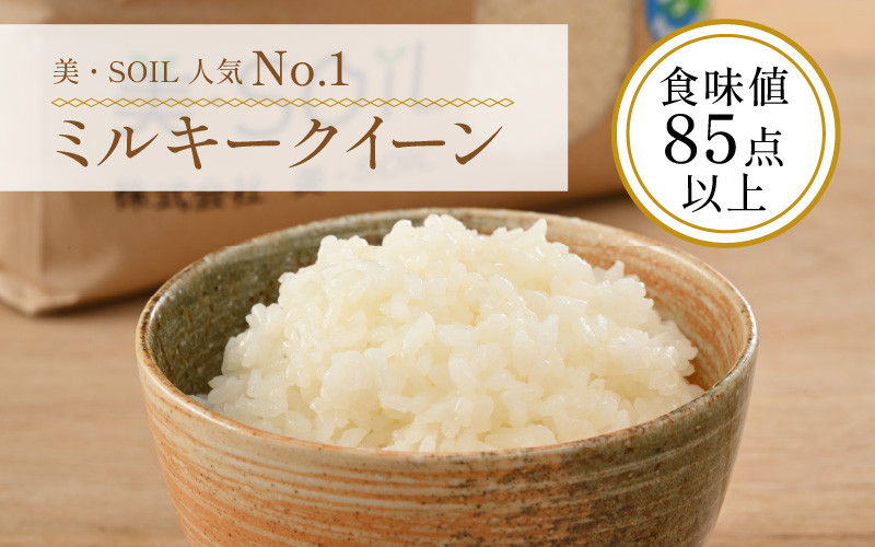 令和5年産新米 ミルキークイーン 10kg 無洗米 特別栽培米 低農薬