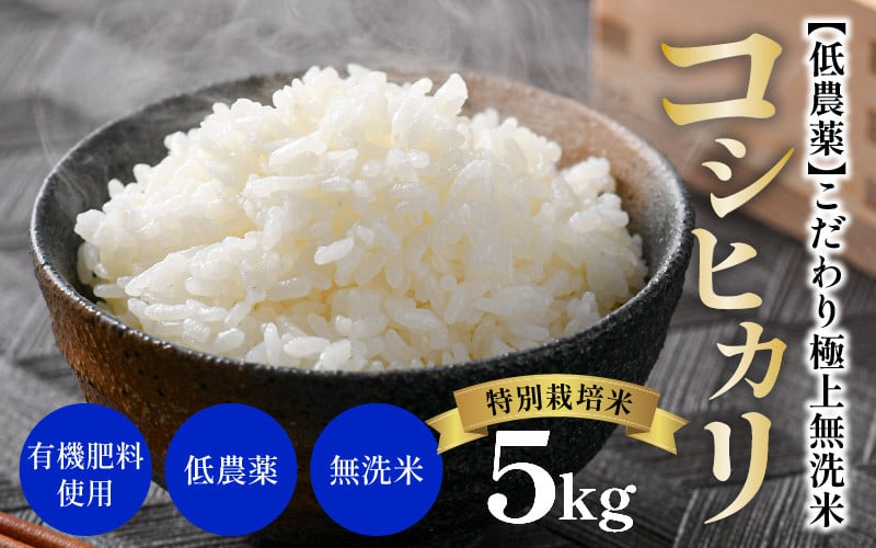 令和6年産 新米】特別栽培米 コシヒカリ 5kg 無洗米 低農薬 《食味値85点以上！こだわり極上無洗米》 / 福井県 あわら 北陸 米 お米 人気  高品質 鮮度抜群 | JTBのふるさと納税サイト [ふるぽ]