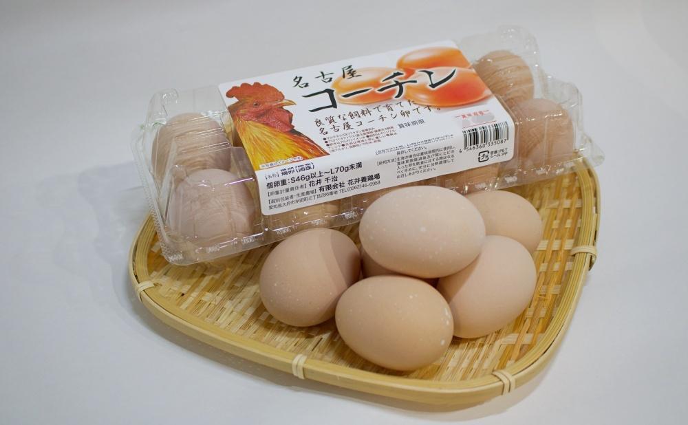 名古屋コーチンの卵」（30個）　[ふるぽ]　日本三大地鶏!!　JTBのふるさと納税サイト　「純系　本当に美味しい食べ物は調味料の味に負けません！