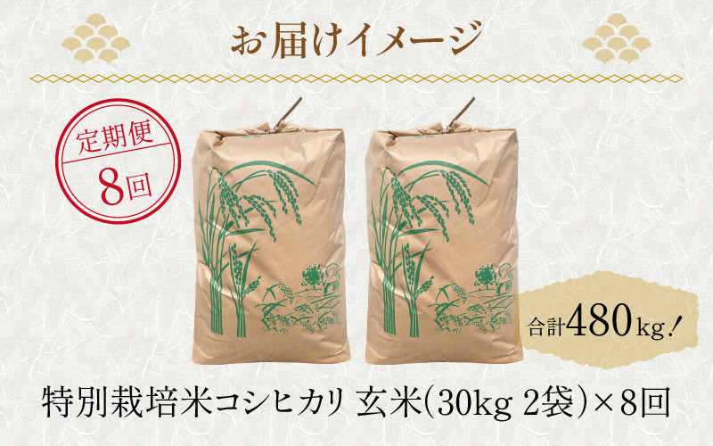 令和5年産】《定期便》60kg×8回 480kg 田んぼ一反分 特別栽培米