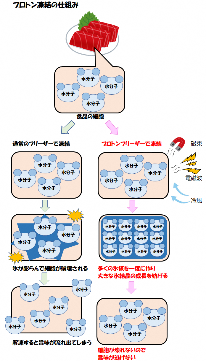 事業者支援対象謝礼品 養殖ヒラメ刺身用低温熟成魚切り身 約0g Jtbのふるさと納税サイト ふるぽ