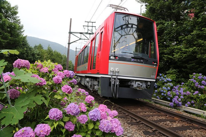 箱根登山鉄道強羅駅近辺 箱根登山鉄道が運行再開!