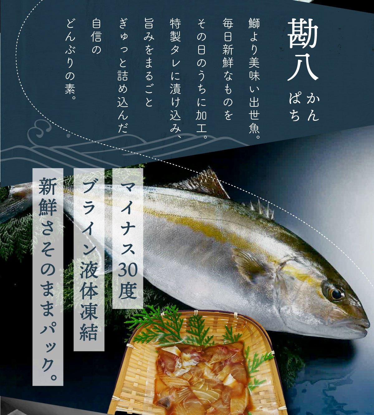 高知の海鮮丼の素「かんぱちの漬け」１食80ｇ×５パックセット＜高知市共通返礼品＞ | JTBのふるさと納税サイト [ふるぽ]