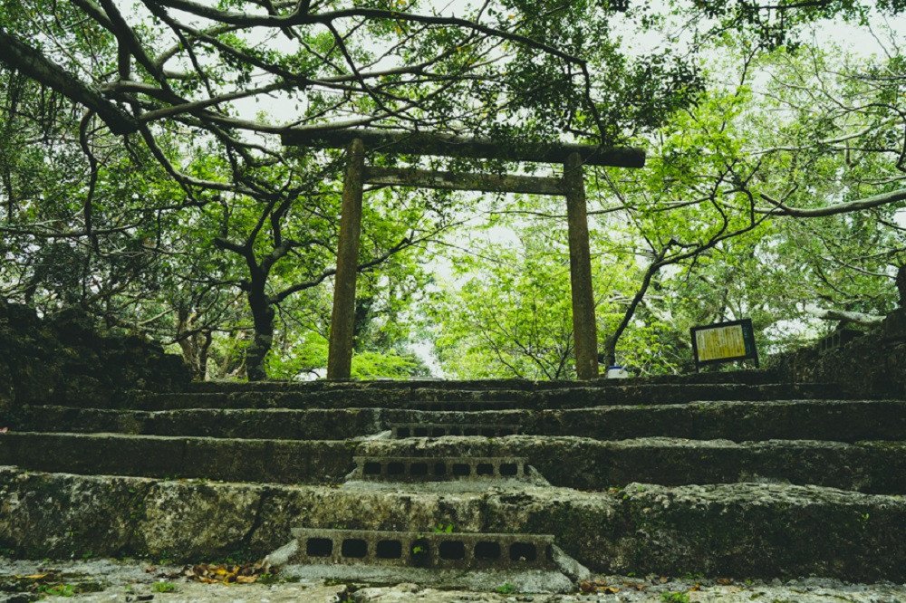 撮影地:南山城跡