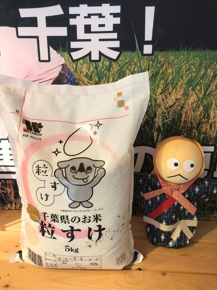 [令和2年産]千葉県産「粒すけ」10kg(5㎏×2） JTBのふるさと納税サイト [ふるぽ]