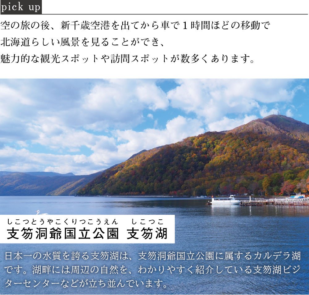 千歳 支笏湖 丸駒温泉 Jtbふるさと納税旅行クーポン 30 000円分 Jtbのふるさと納税サイト ふるぽ