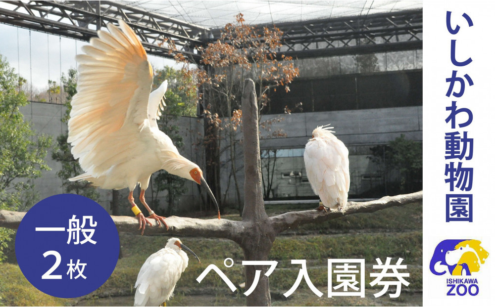 チケット&nbsp;いしかわ動物園ペア入園券（一般）石川県&nbsp;能美市