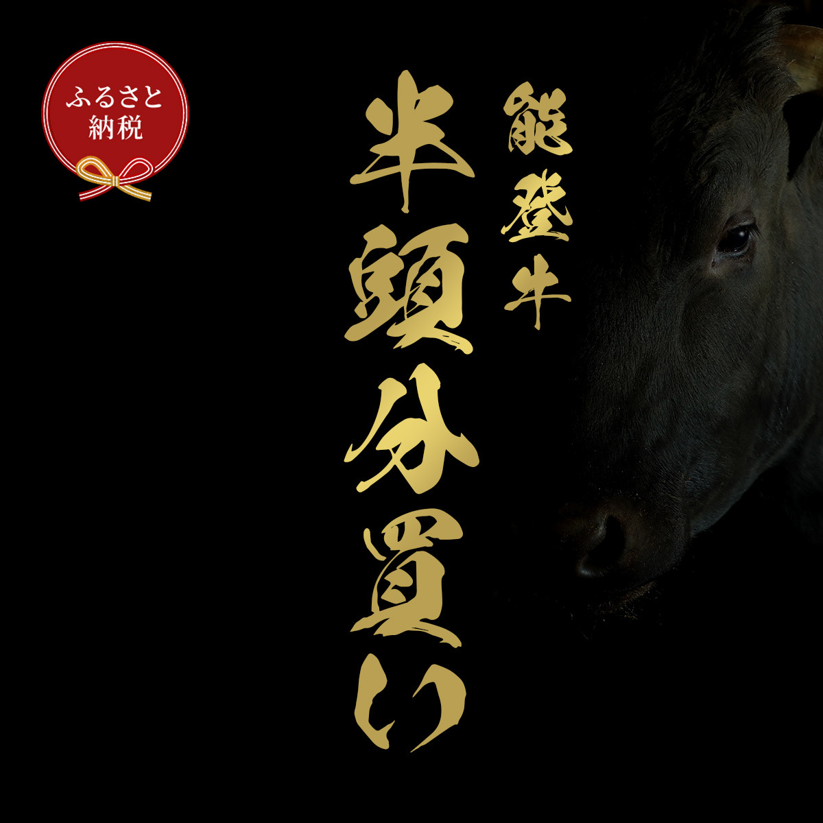肉【和牛セレブ】能登牛&nbsp;半頭買い（12分割配送）黒毛和牛&nbsp;霜降り&nbsp;ギフト&nbsp;石川県&nbsp;能美市