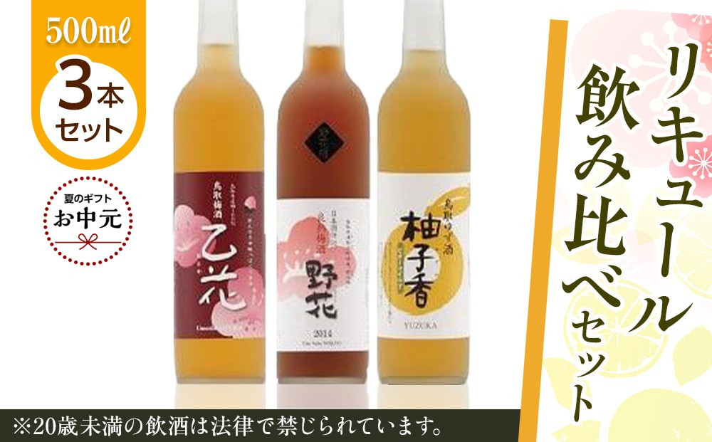 【お中元用】455.リキュール飲み比べセット【7月上旬以降お届け】