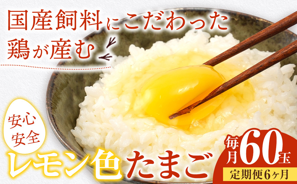 【定期便6か月】国産飼料にこだわった鶏が産む安全安心の&nbsp;『レモン色たまご』60玉（55玉＋割れ保証5玉）&nbsp;［Hn11］