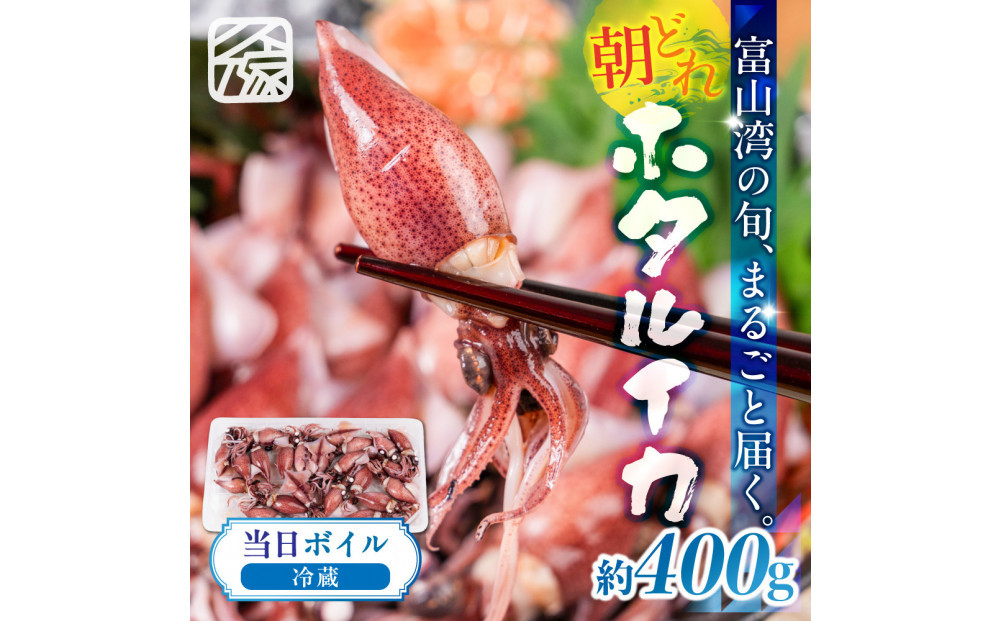 【先行予約】＜2027年3月以降順次発送予定＞朝獲れ&nbsp;富山湾の旬&nbsp;ボイルほたるいか&nbsp;400g&nbsp;冷蔵