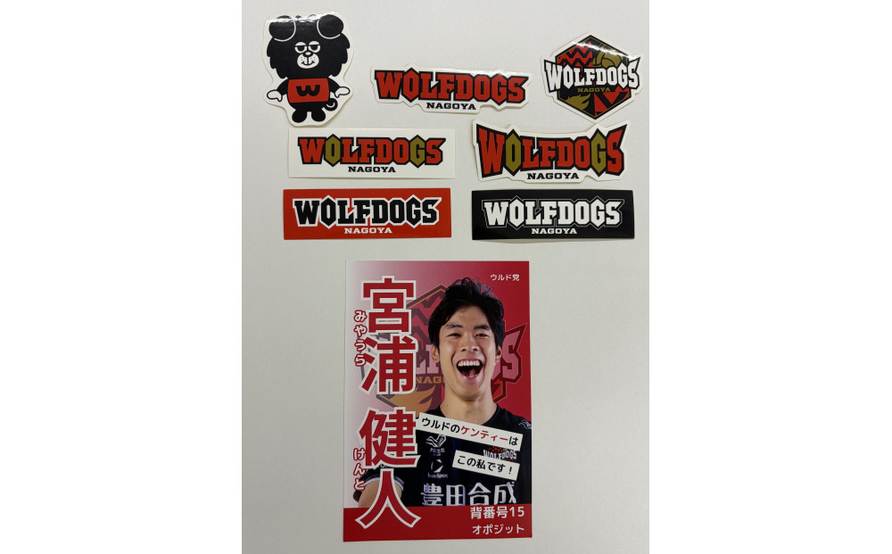 宮浦選手サイン入りポストカードとウルフドッグス名古屋ダイカットステッカーセット！【トップスポーツチーム活動支援事業寄附金専用】