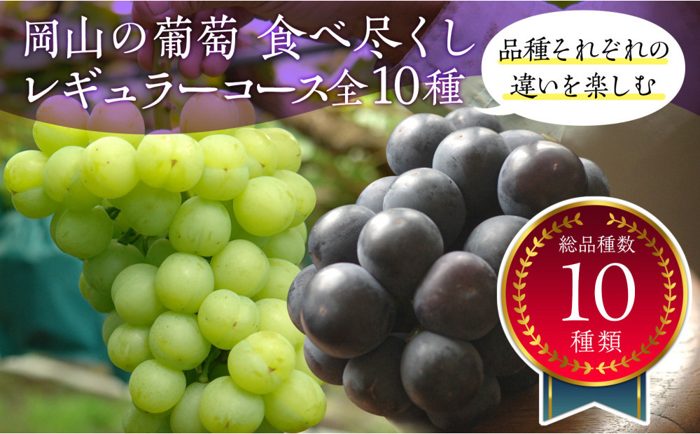 岡山のぶどう食べ尽くし&nbsp;レギュラーコース全10種（10回お届け）