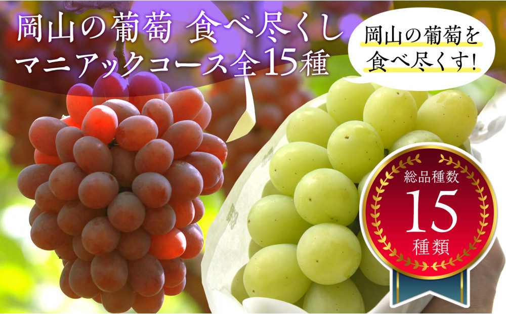 岡山のぶどう食べ尽くし&nbsp;マニアックコース全15種（15回お届け）