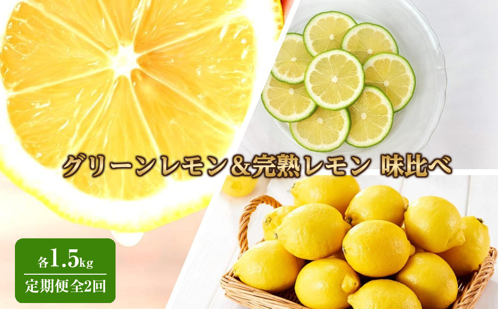 【期間限定】旬のレモンを味わう！グリーンレモン＆完熟レモン&nbsp;味比べ定期便3kg&nbsp;(1.5kg×全2回)