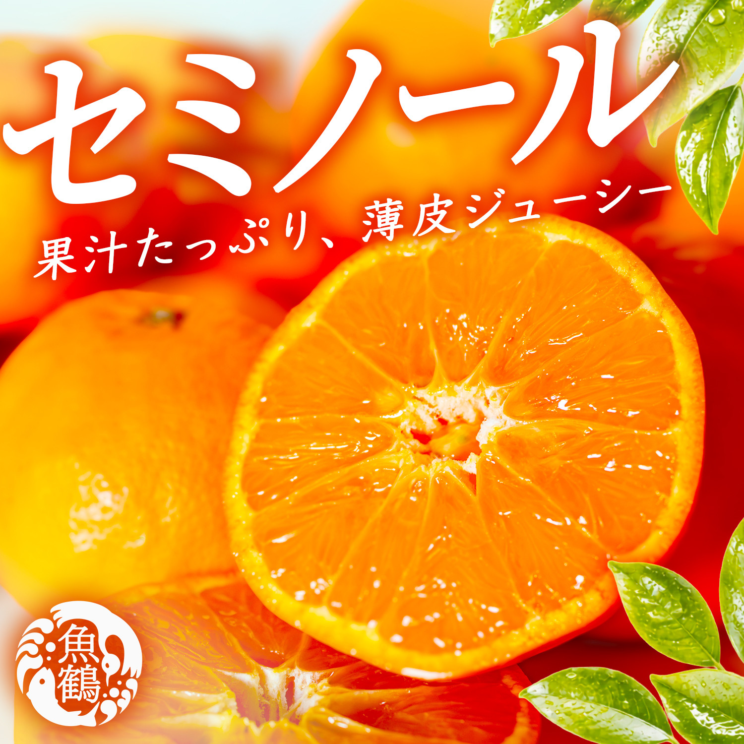 ［先行予約］ジューシー柑橘&nbsp;セミノールオレンジ&nbsp;5kg［UT149］