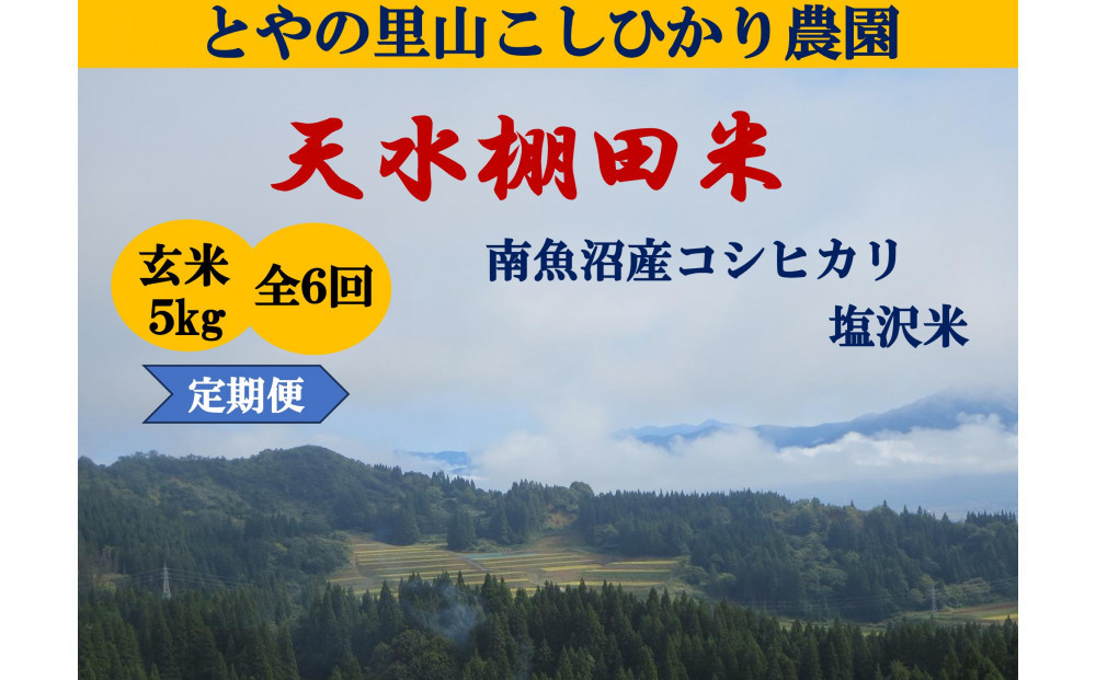 【令和8年産新米予約】定期便【天水棚田米】雪蔵熟成塩沢産コシヒカリ玄米5kg6回「とやの里山継承プロジェクト」【2026年10月下旬より1ヶ月以内に順次発送予定】