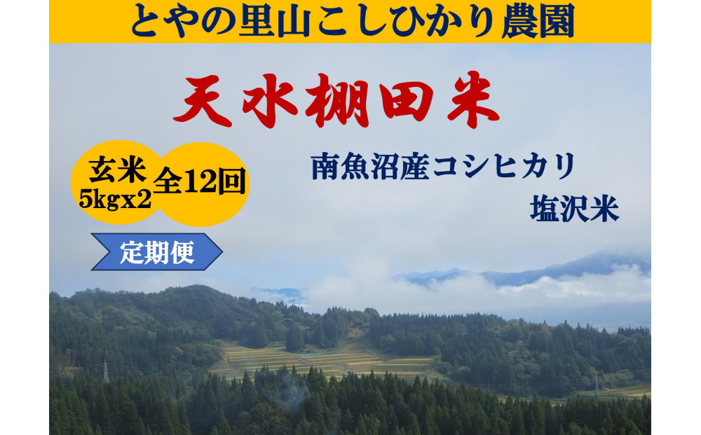 【令和8年産新米予約】定期便【天水棚田米】雪蔵熟成塩沢産コシヒカリ玄米10kg12回「とやの里山継承プロジェクト」【2026年10月下旬より1ヶ月以内に順次発送予定】