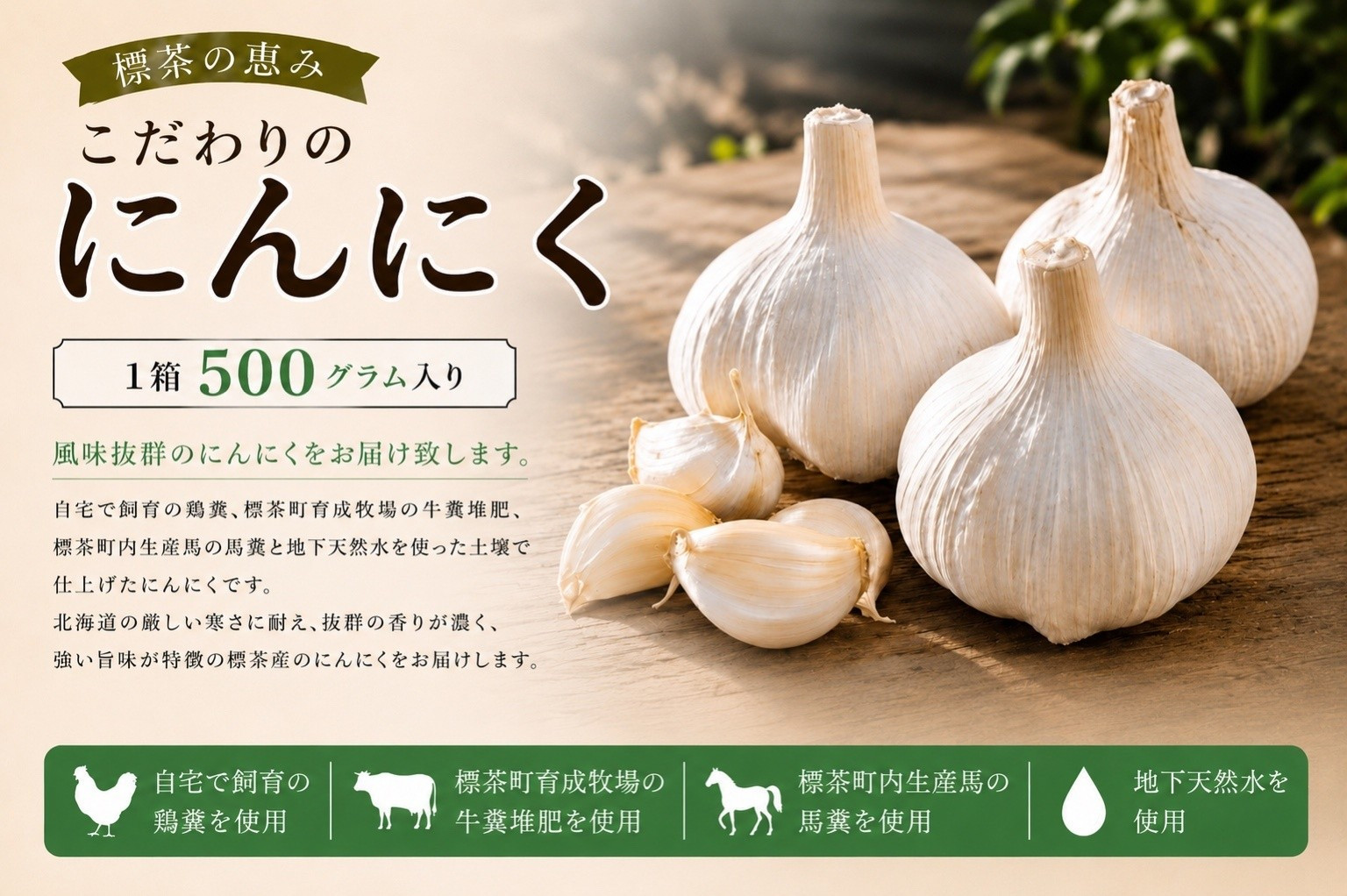 【2026年9月発送】標茶の恵み　こだわりのにんにく　１箱500グラム入り（Mサイズ約８～１０個）