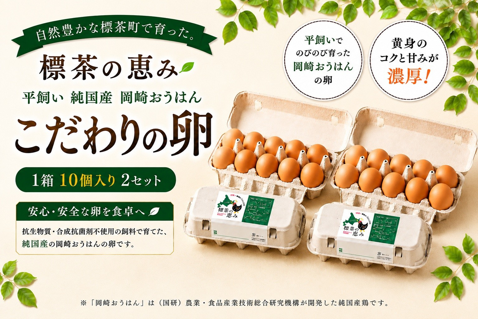 【限定25セット】標茶の恵み「平飼い&nbsp;純国産&nbsp;岡崎おうはん　こだわりの卵&nbsp;１箱10個入り2セット」
